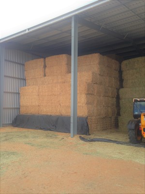 175 x Canola Hay 675kg 8x4x3 Bales