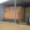175 x Canola Hay 675kg 8x4x3 Bales