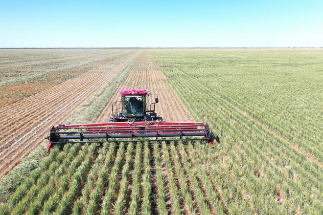 Case WDX 1701 Windrower with 30' Front on Comb Trailer