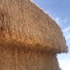 80mt Oaten Hay 600kg 8x4x3 Bales (19/20)