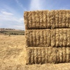 Triticale Straw 6x4x3