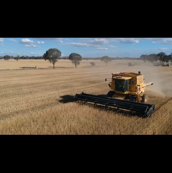 2001 New Holland TR89 Header with 30ft MacDon Draper Front & Canola Front with Trailers