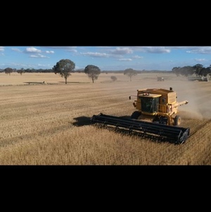 2001 New Holland TR89 Header with 30ft MacDon Draper Front & Canola Front with Trailers