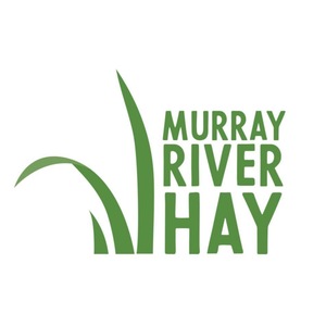 Premium Quality Irrigated Hay