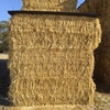 100mt Moby Barley Hay 8x4x3 Bales