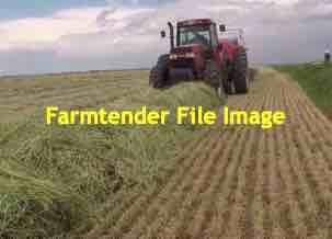 New Season Wheaten Hay