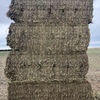 Canola Hay 8x4x3 Bales 