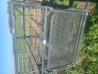 Under Auction - Calf Catching Cradle - 2% + GST Buyers Premium On All Lots 