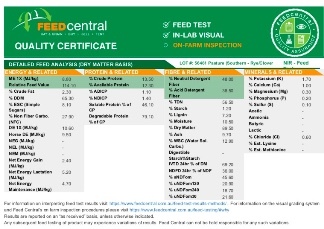 Rye/Clover & Turnip Hay 5x4
