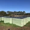 Oaten Hay 200  Small Squares