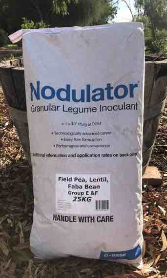 Granular Innoculant for Lentils Faba Beans Peas and Vetch (Nodulator)