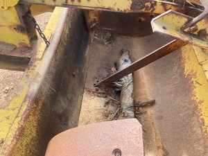 Large Scoop Buttsworth Hydraulic