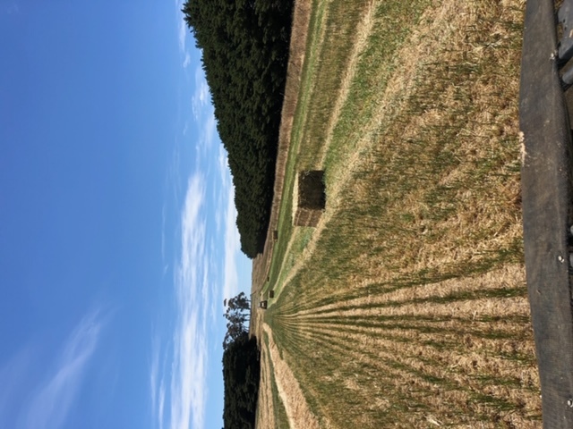 Adrenaline Rye 8x4x3 Square Bales approximately 350 - SOLD BY THE TONNE