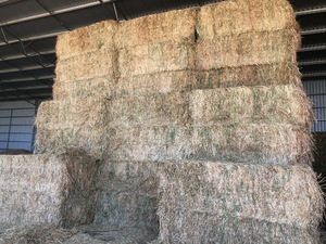 Oaten Hay