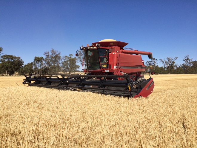 Case 2388 / 36 Ft 2042 MacDon Front ##PRICED REDUCED##