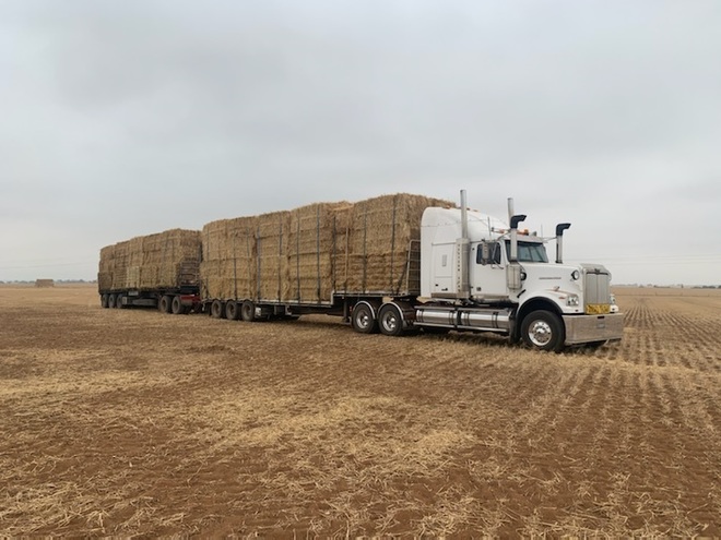 100 x Oaten Hay 8x4x3 Square Bales