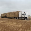100 x Oaten Hay 8x4x3 Square Bales