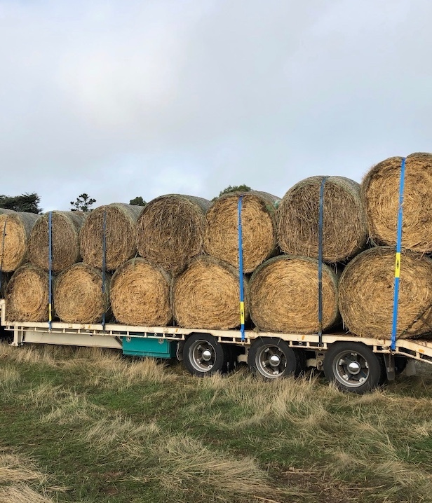 80 x Oaten Hay 400kg 5x4 Rolls