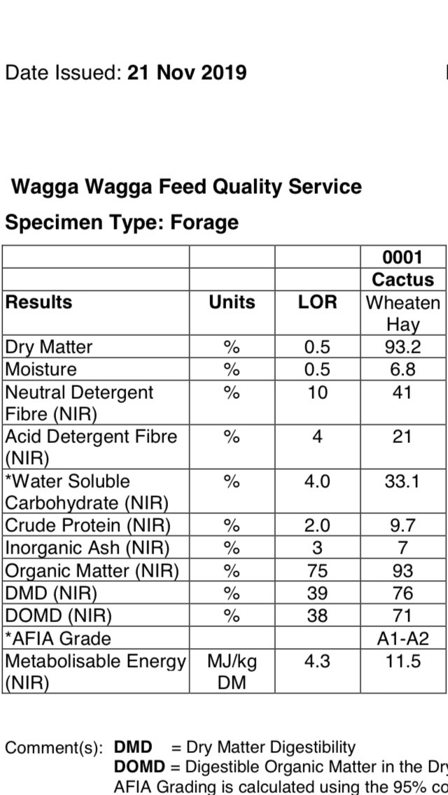 New Season Wheaten Hay 8x3x3