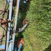 Overum Mouldboard Plough