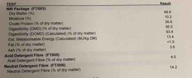 1 x B-Double Load of Feed Lentils For Sale