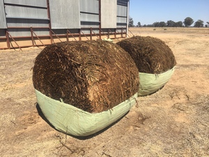 Canola Silage Round Rolls Wrapped