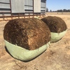 Canola Silage Round Rolls Wrapped