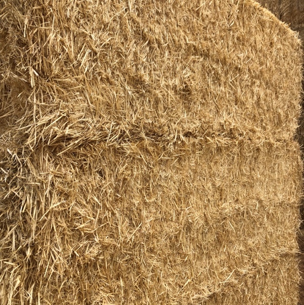 Barley Straw