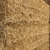 Barley Straw