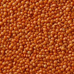 WANTED 30mt Red Lentils