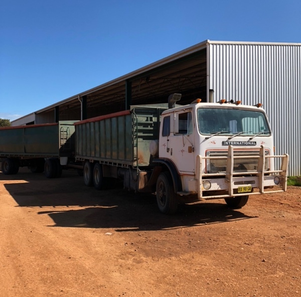 Acco 3070 Truck and Dog