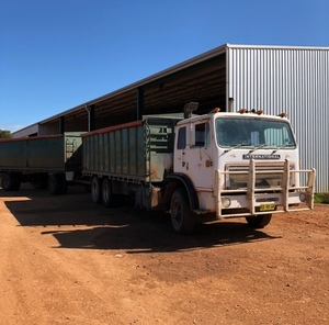 Acco 3070 Truck and Dog