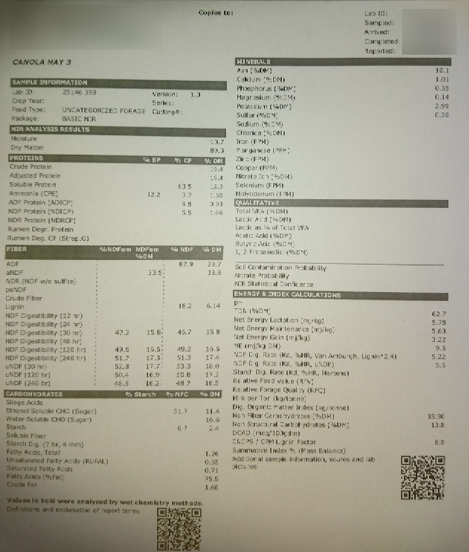90mt Canola Hay 650kg 8x4x3 Bales