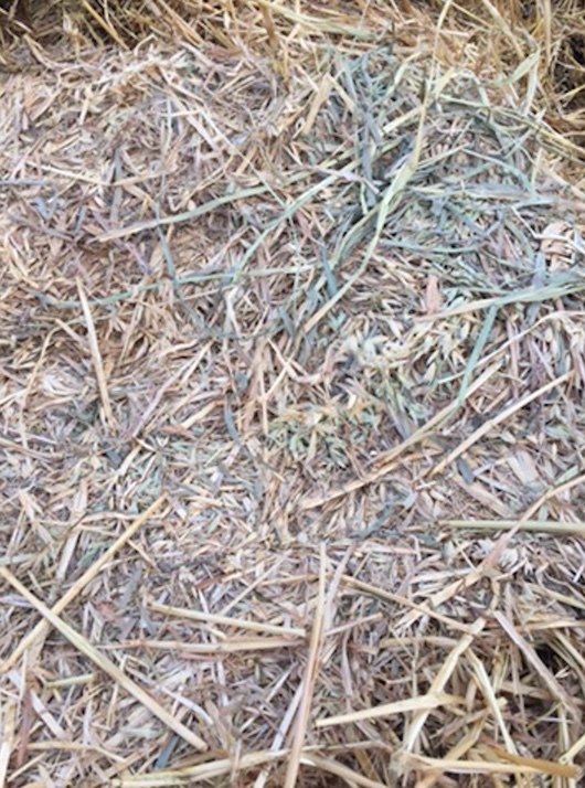 B Double load of Oaten Hay