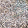 B Double load of Oaten Hay
