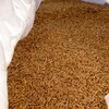 Graded Winteroo Oats - AEXCO Permitted seed. 98.8% Purity & 98% Germination.