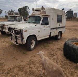 F100 81 Ambulance