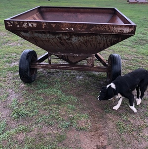 trailing sheep feeder