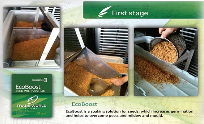 Fodder/ Seedling Factory. Make an offer