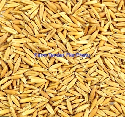 Hay oats Wanted . approx 30 mt