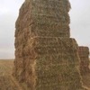 260mt Wheaten Hay 520kg 8x4x3 Bales