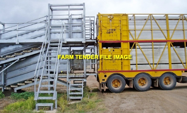 WANTED Two deck Cattle Loading Race