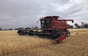 CASE 2388 Exclusive 2005