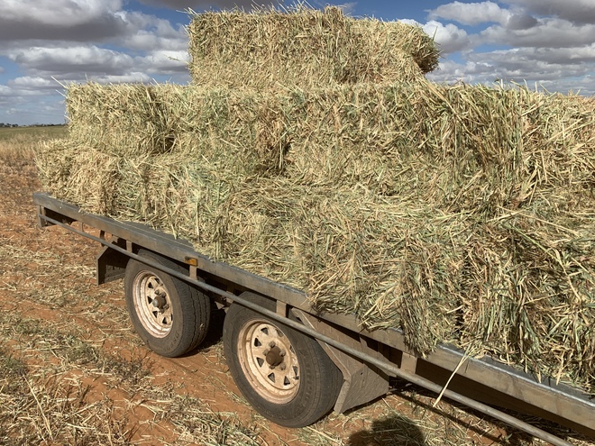 New Season Oaten Hay Small Squares
