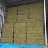 A1 Vetch Hay Shedded 740 KG's