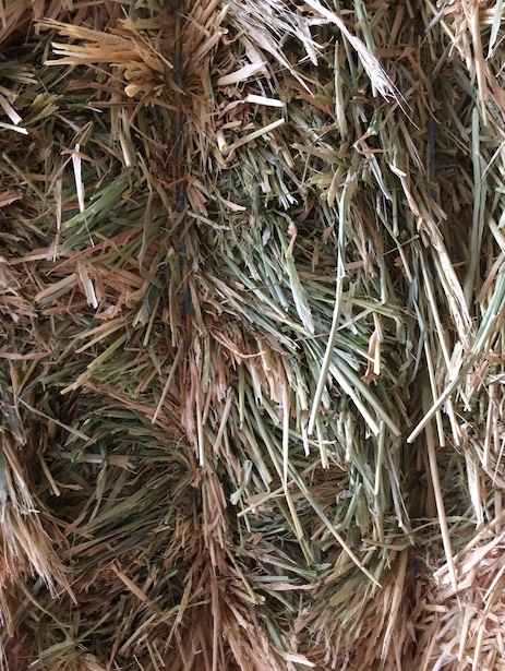 100mt Barley Hay 8x4x3 Bales 