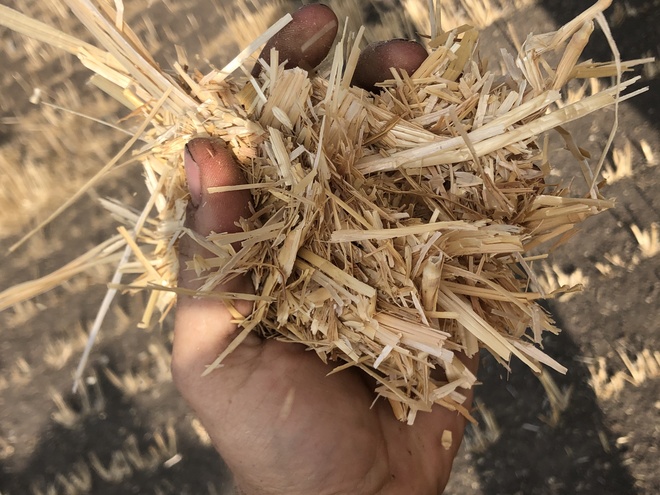 Windrowed and Header Trailed Wheaten Straw 8x4x3 Bales 530+ Kg's