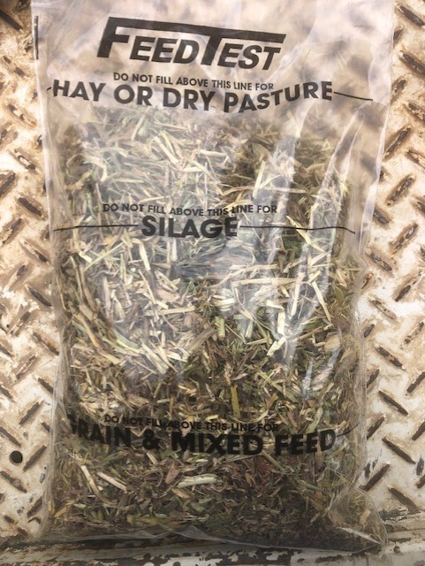 Under Auction - 470 Bales of -n Ryegrass / Clover 3 x 3 x 8 squares