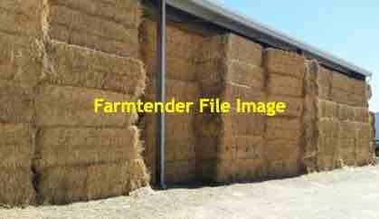 45mt Wheaten Hay 700kg 8x4x3 Bales