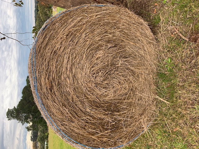 38 X 4ft Round Pasture Bales